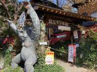 宮城蔵王キツネ村でたくさんのキツネと触れ合ってきた！