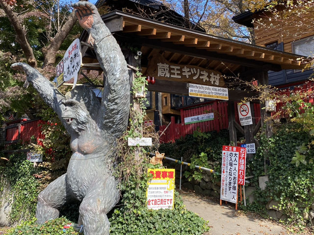 宮城蔵王キツネ村でたくさんのキツネと触れ合ってきた！