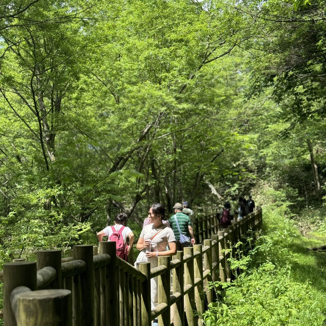 夢幻之境🗻探索日本上高地嘅絕美秘境