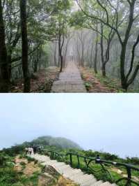 🇨🇳 Bitong Hiking Trail 碧桐道 📍 Wutong Mountain, Shenzhen 
