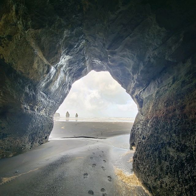 紐西蘭北島3天 從陶波到小富士