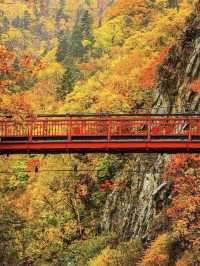 北海道定山溪溫泉：🍁紅葉映襯的秋日絕景