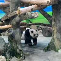 【台北動物園】 台北市立動物園😎