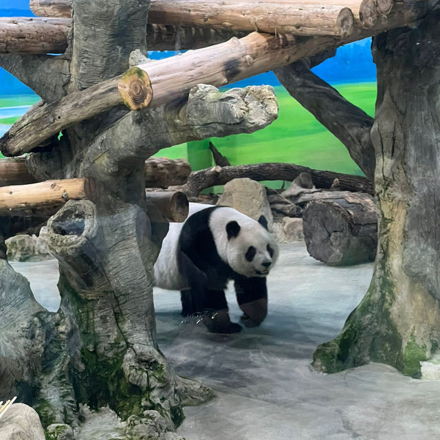 【台北動物園】 台北市立動物園😎