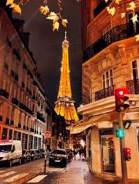 【絶景🇫🇷】憧れのパリ！色んな時間帯のエッフェル塔🗼