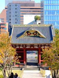 東京賞楓秘境🍁：芝公園！遠眺東京鐵塔🗼最佳位置！ 