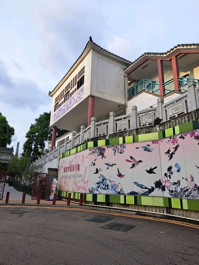 【Flower Market Rd:香港】綺麗なお花がたくさん売られている通り✨