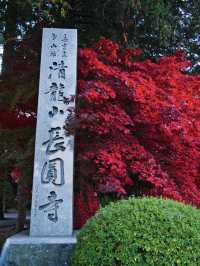 【長野】目が覚めるような真っ赤に染まる紅葉🍁信州のもみじ寺✨