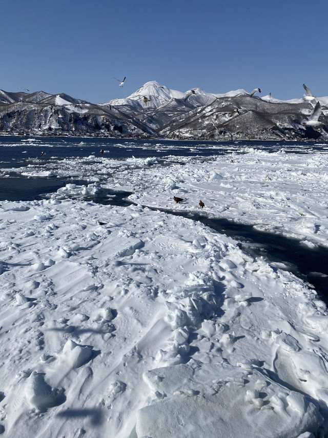 【北海道】冬の知床半島