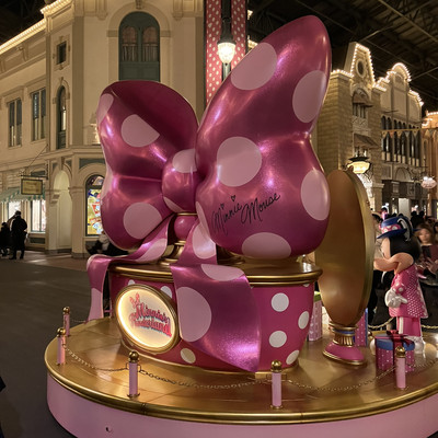 最終お値下げです【ミニーのファンダーランド/ブランケット】 ディズニー・パルパルーザ ミニーのファンダーランド 薄く