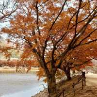 Relaxing retreat at Jinhae NFRDI Environment Eco-Park