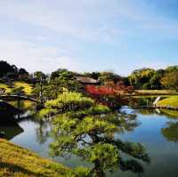 Autumn Magic: A Colorful Escape at Okayama Korakuen Garden!