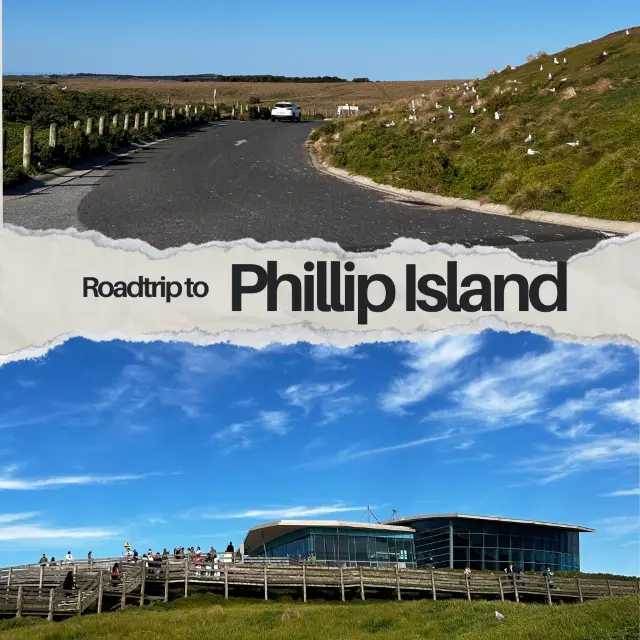 Roadtrip to Phillip Island 🚗