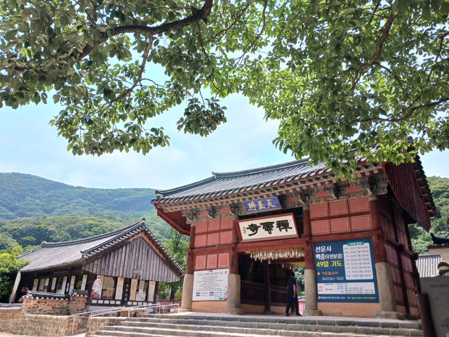 "가을 속 선운사, 고창에서 만난 고요한 여유"