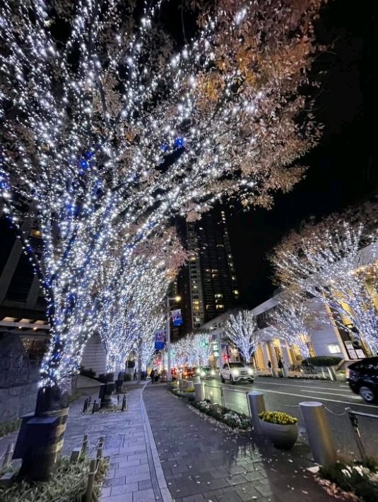 Roppongi Hills Christmas