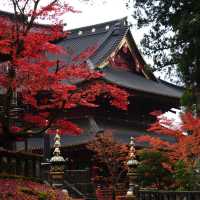 【栃木/日光】紅葉も美しい日光東照宮