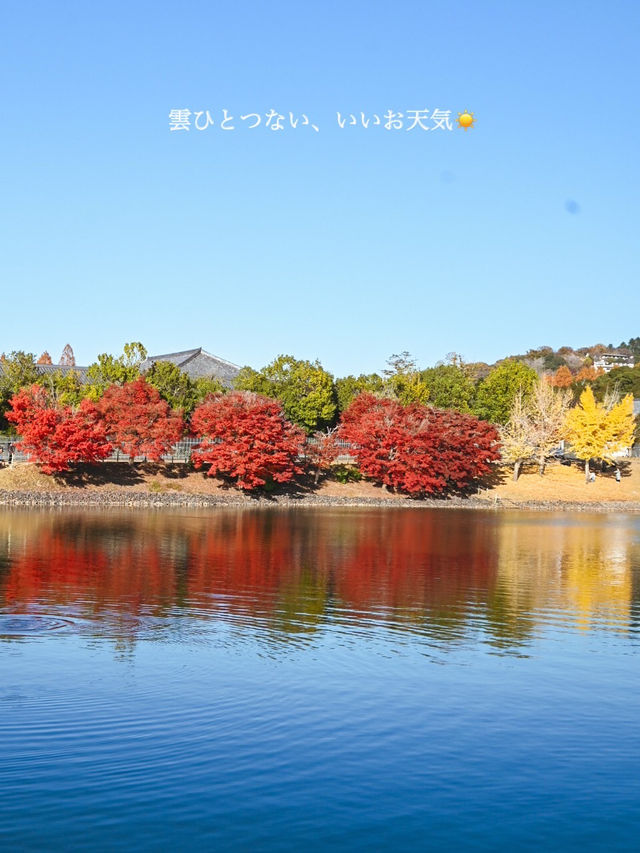 【奈良】銀杏も紅葉も見れる、おすすめの紅葉スポット