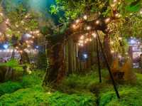 เดินลั้นลา ที่ชิลวามาร์เก็ต