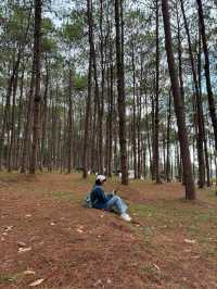 ภูหินร่องกล้า | พิษณุโลก 🏡⛰️🌲🍃