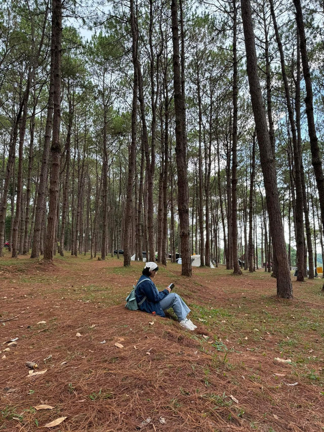 ภูหินร่องกล้า | พิษณุโลก 🏡⛰️🌲🍃