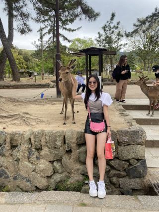 One Day Trip to Nara: Exploring History, Nature, and Delicious Mochi