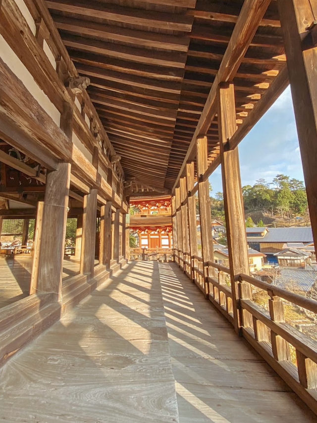 【広島】開放感のある歴史のある神社