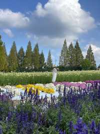 広島観光☺️🌼世羅高原農場🌸☺️四季折々の花々を楽しもう💐