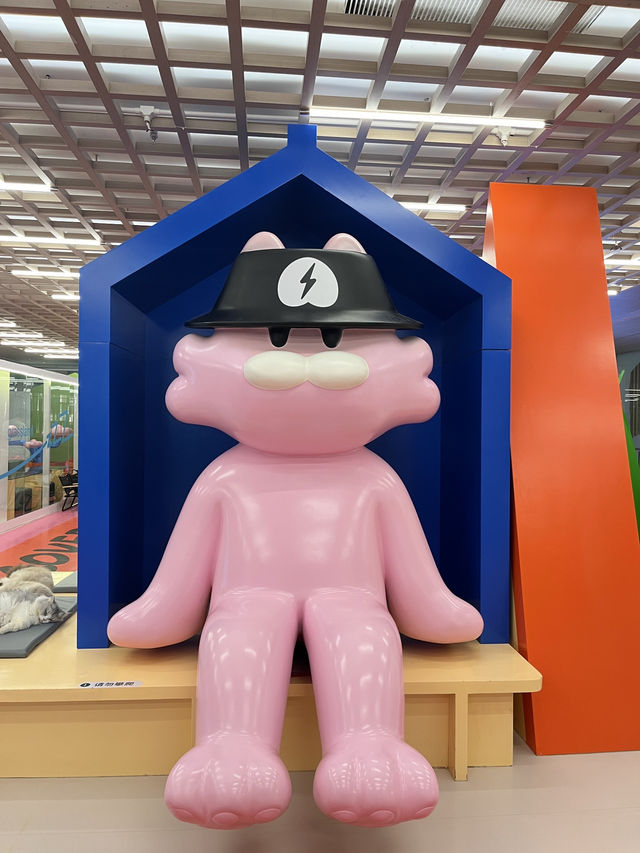 與貓🐱共度的悠閒下午