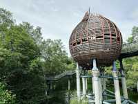 Exploring the Natural Beauty of Sungei Buloh Wetland Reserve