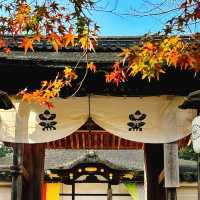 荏原神社：禪意之地🧘‍♀️