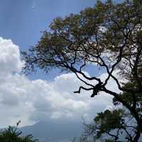 尼泊爾🇳🇵奇旺國家公園 🏞️ 犀牛🦏