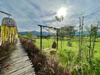 ลานโอบรักแคมป์ปิ้ง & Tree’N Bear Cafe