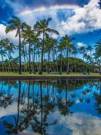 5 Reasons You Need to Visit Hawaii (Straight from Santa’s List!)🎅
