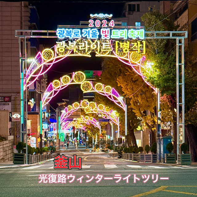 【釜山】光復路ウィンターライトツリーフェスティバル2024🎄✨