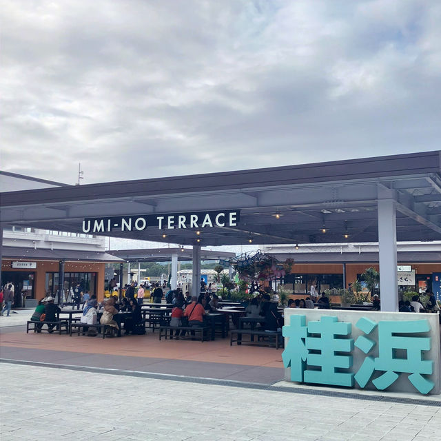 【四国】太平洋に向かって建つ坂本龍馬像
