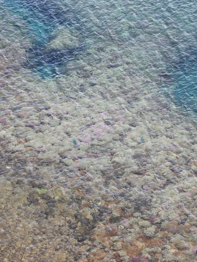 【沖縄🇯🇵】鮮やかな青い海を眺めて💙