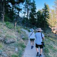 Exploring Devils Tower in Wyoming: A Natural Wonder You Can’t Miss 🇺🇸