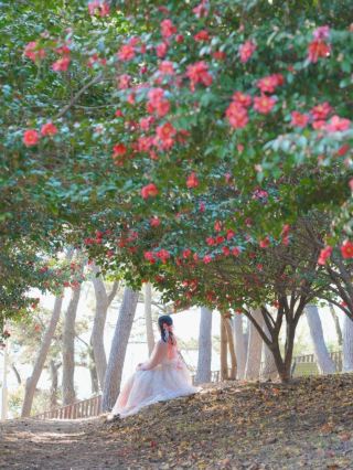남해의 반짝이는 윤슬과 동백을 함께 볼 수 있는 곳🌺❤️