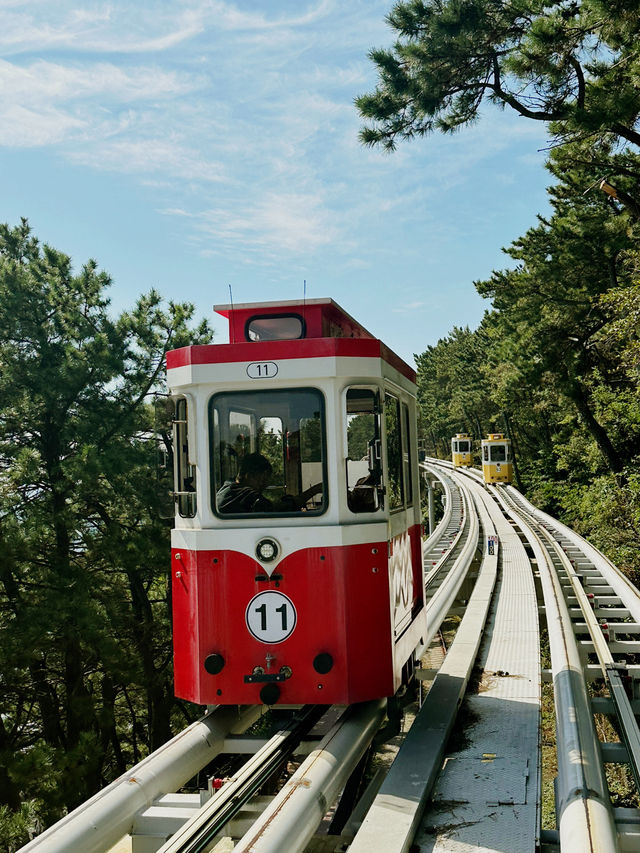 해운대에서 특별한 추억을 만들기! 🚂🌊