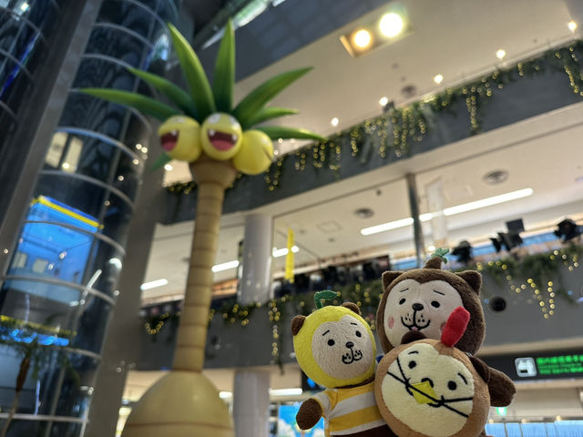 宮崎機場的椰蛋樹🌲與浪漫展望台🥰