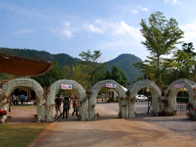 เดอะ ซีนเนอรี่ วินเทจ ฟาร์ม เที่ยวสวนผึ้ง ราชบุรี