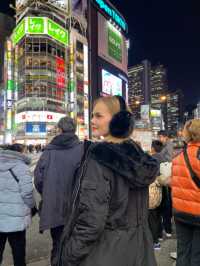 ย่านชินจูกุ (Shinjuku) 