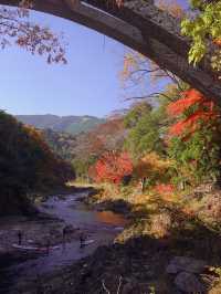 東京御岳渓谷🍁紅葉と清流の癒しスポット