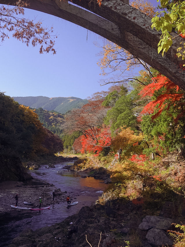 東京御岳渓谷🍁紅葉と清流の癒しスポット
