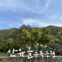 힐링이 필요할 땐 통영 ‘산유골 수목공원’ 🌳✨