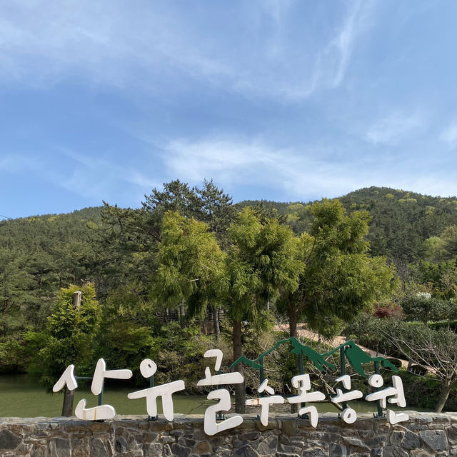 힐링이 필요할 땐 통영 ‘산유골 수목공원’ 🌳✨