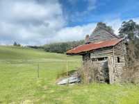 Kaoota Tasmania
