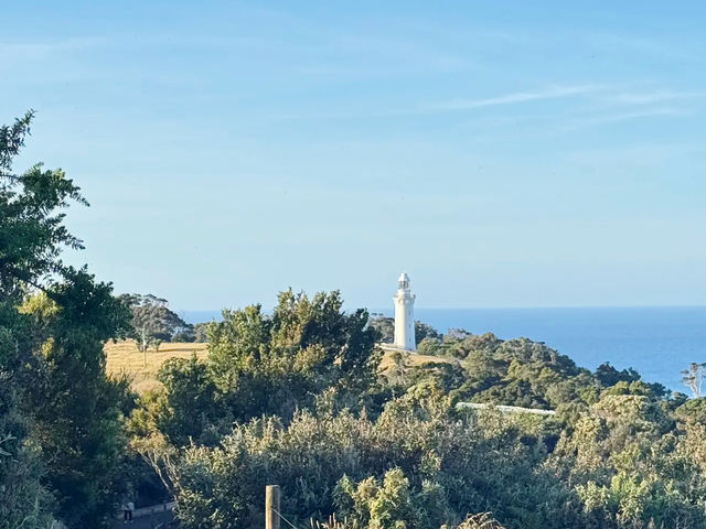 Majestic Views from Table Cape Lookout