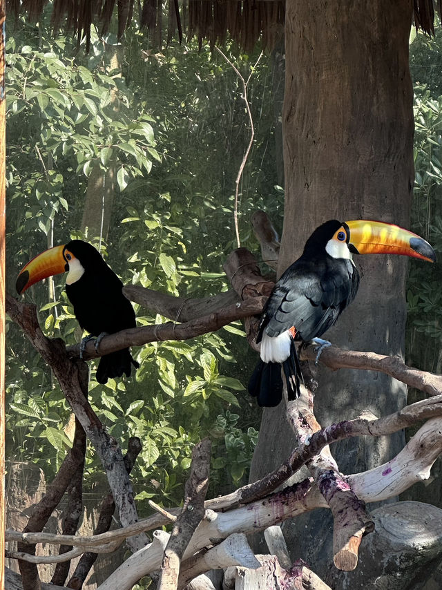A Wild Adventure at Shanghai Wild Animal Park