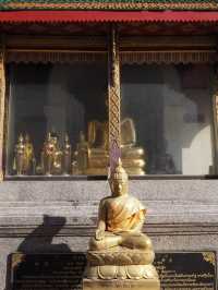 酉年生まれの方必見のお寺🇹🇭